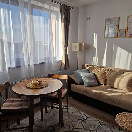 Craitelor Boutique Airport Apartment Otopeni Exteriér fotografie